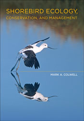 SHOREBIRD ECOLOGY, CONSERVATION, AND MANAGEMENT 1