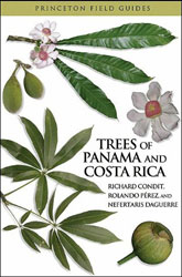 TREES OF PANAMA AND COSTA RICA 1