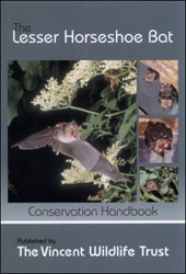 THE LESSER HORSESHOE BAT: CONSERVATION HANDBOOK 1
