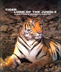 TIGER LORD OF THE JUNGLE 1