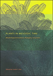 PLANTS IN MESOZOIC TIME: MORPHOLOGICAL INNOVATIONS, PHYLOGENY, ECOSYSTEMS 1