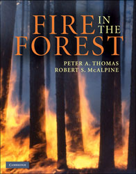 FIRE IN THE FOREST 1