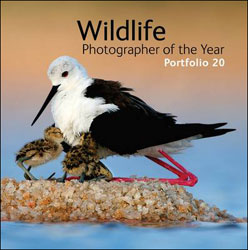 WILDLIFE PHOTOGRAPHER OF THE YEAR. PORTFOLIO 20 1