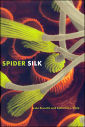 SPIDER SILK 2