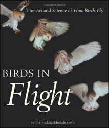 BIRDS IN FLIGHT. THE ART AND SCIENCE OF HOW BIRDS FLY 1