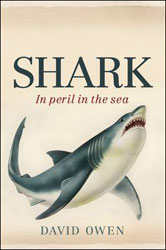 SHARK. IN PERIL IN THE SEA 1