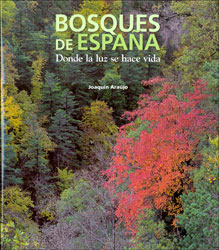 BOSQUES DE ESPAÑA. DONDE LA LUZ SE HACE VIDA 1