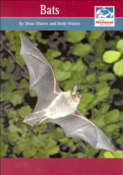 BATS. THE MAMMAL SOCIETY SERIES 1