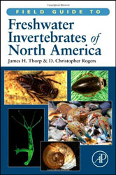 FIELD GUIDE TO FRESHWATER INVERTEBRATES OF NORTH AMERICA 1