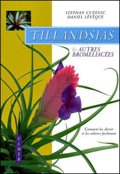 TILLANDSIAS & AUTRES BROMÉLIACÉES 1