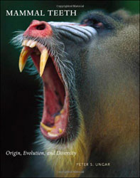 MAMMAL TEETH. ORIGIN, EVOLUTION, AND DIVERSITY 1