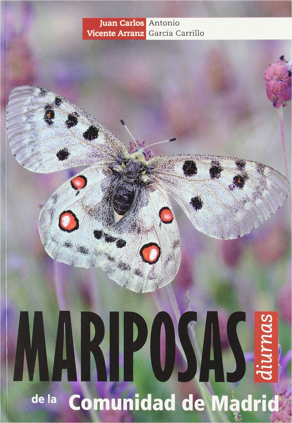 MARIPOSAS DIURNAS DE LA COMUNIDAD DE MADRID