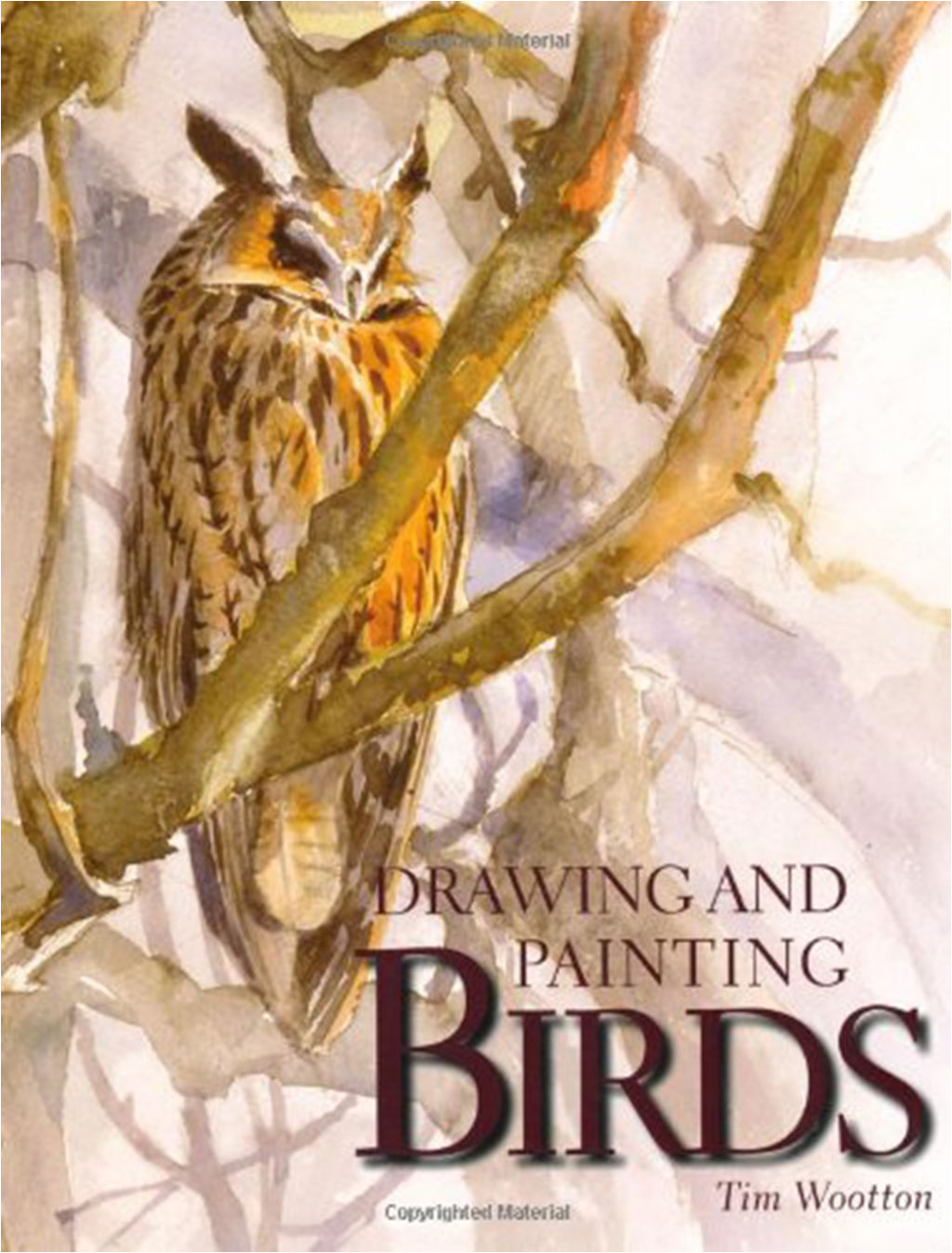 DRAWING AND PAINTING BIRDS