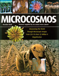 MICROCOSMOS. DISCOVERING THE WORLD THROUGH MICROSCOPIC IMAGES 1