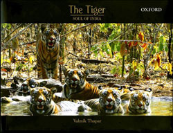 THE TIGER: SOUL OF INDIA 1