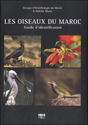 LES OISEAUX DU MAROC 1