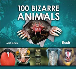 100 BIZARRE ANIMALS 1