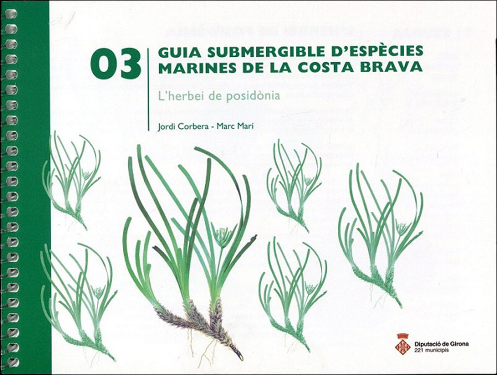 GUIA SUBMERGIBLE D'ESPÈCIES MARINES DE LA COSTA BRAVA. 03  L'HERBEI DE POSIDÒNIA 1