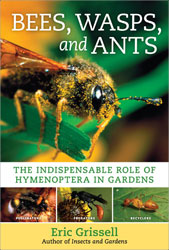 BEES, WASPS, ANTS. THE INDISPENSABLE ROLE OF HYMENOPTERA IN GARDENS 1