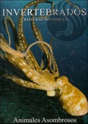 INVERTEBRADOS. CRIATURAS IMPOSIBLES 1