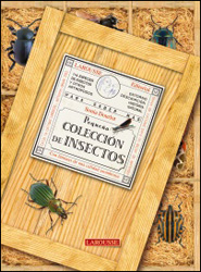 PEQUEÑA COLECCIÓN DE INSECTOS 1