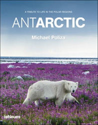 A TRIBUTE TO LIFE IN THE POLAR REGIONS. ANTARCTIC 1
