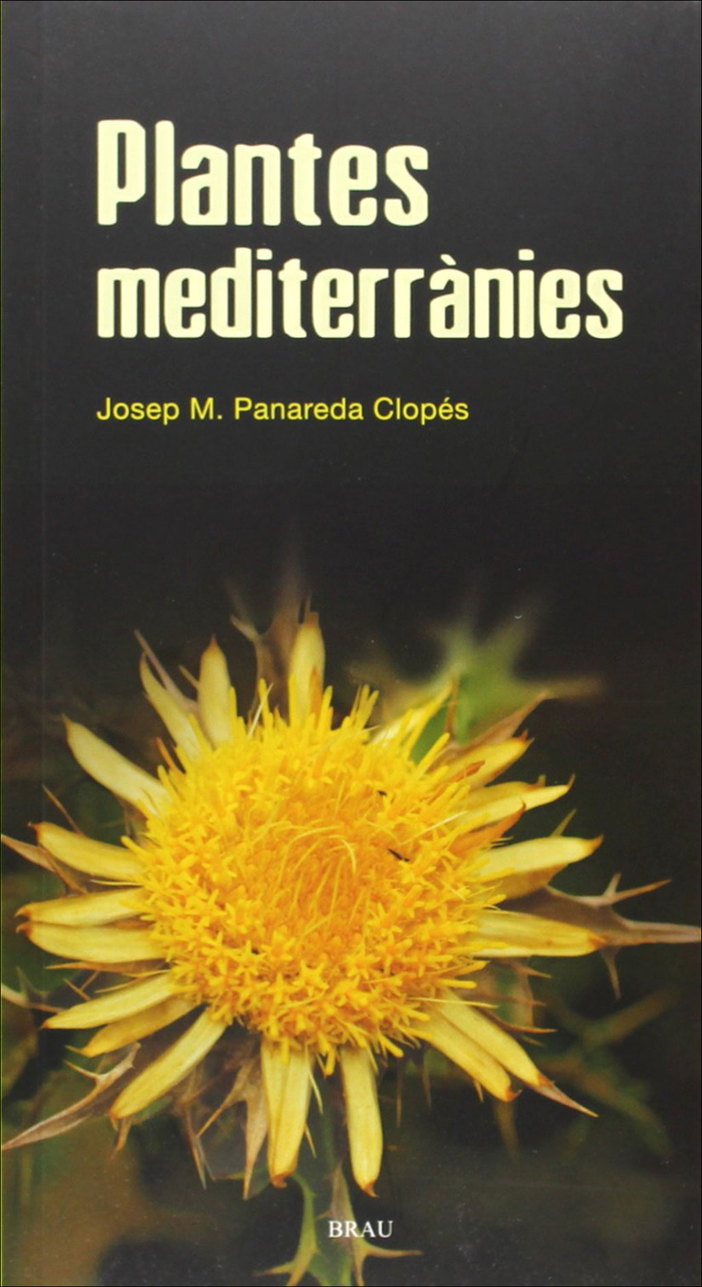 FLORA CATALANA II: PLANTES MEDITERRÀNIES