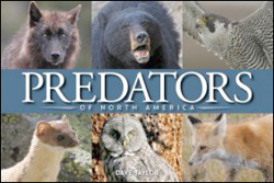 PREDATORS OF NORTH AMERICA 1
