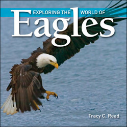 EXPLORING THE WORLD OF EAGLES 1