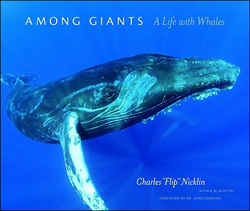 AMONG GIANTS. A LIFE WITH WHALES 1
