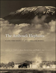 THE AMBOSELI ELEPHANTS. A LONG-TERM PERSPECTIVE ON A LONG-LIVED MAMMAL 1