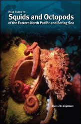 FIELD GUIDE TO SQUIDS AND OCTOPODS OF THE EASTERN NORTH PACIFIC AND BERING SEA 1