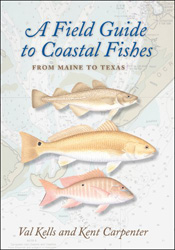 A FIELD GUIDE TO COASTAL FISHES. FROM MAINE TO TEXAS 1