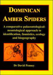 DOMINICAN AMBER SPIDERS 1