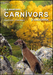 ELS MAMÍFERS CARNÍVORS D'ANDORRA : TÈCNIQUES D'ESTUDI, DISTRIBUCIÓ, CONSERVACIÓ, ABUNDÀNCIA I REQUERIMENTS AMBIENTALS DE LA COMUNITAT DE CAR 1