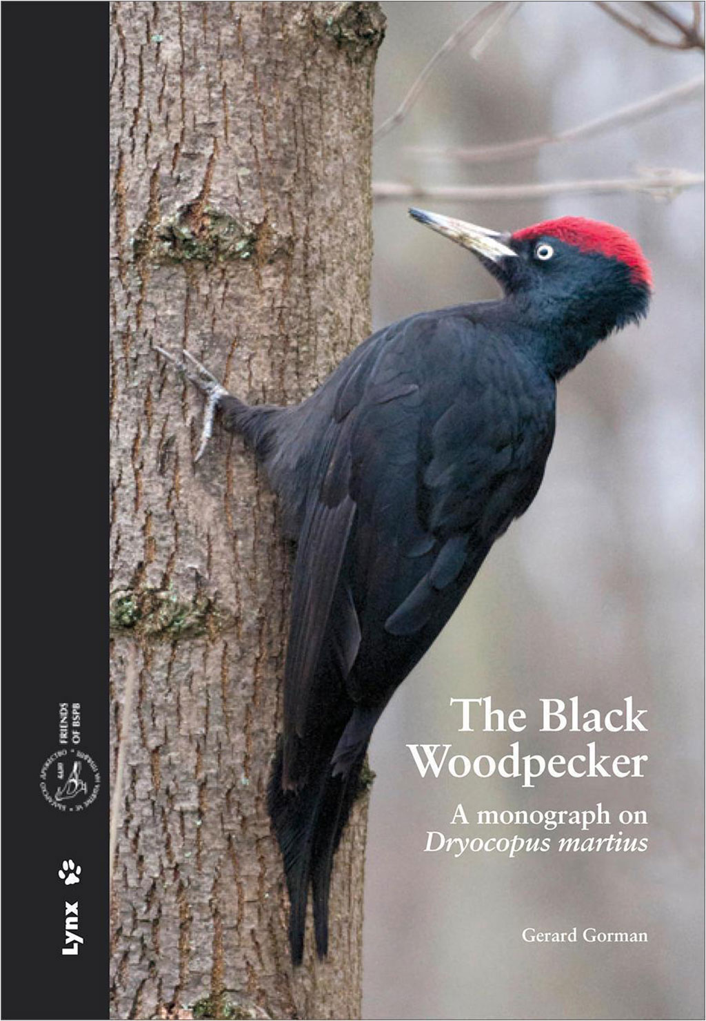 THE BLACK WOODPECKER 1