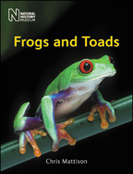 FROGS AND TOADS 1