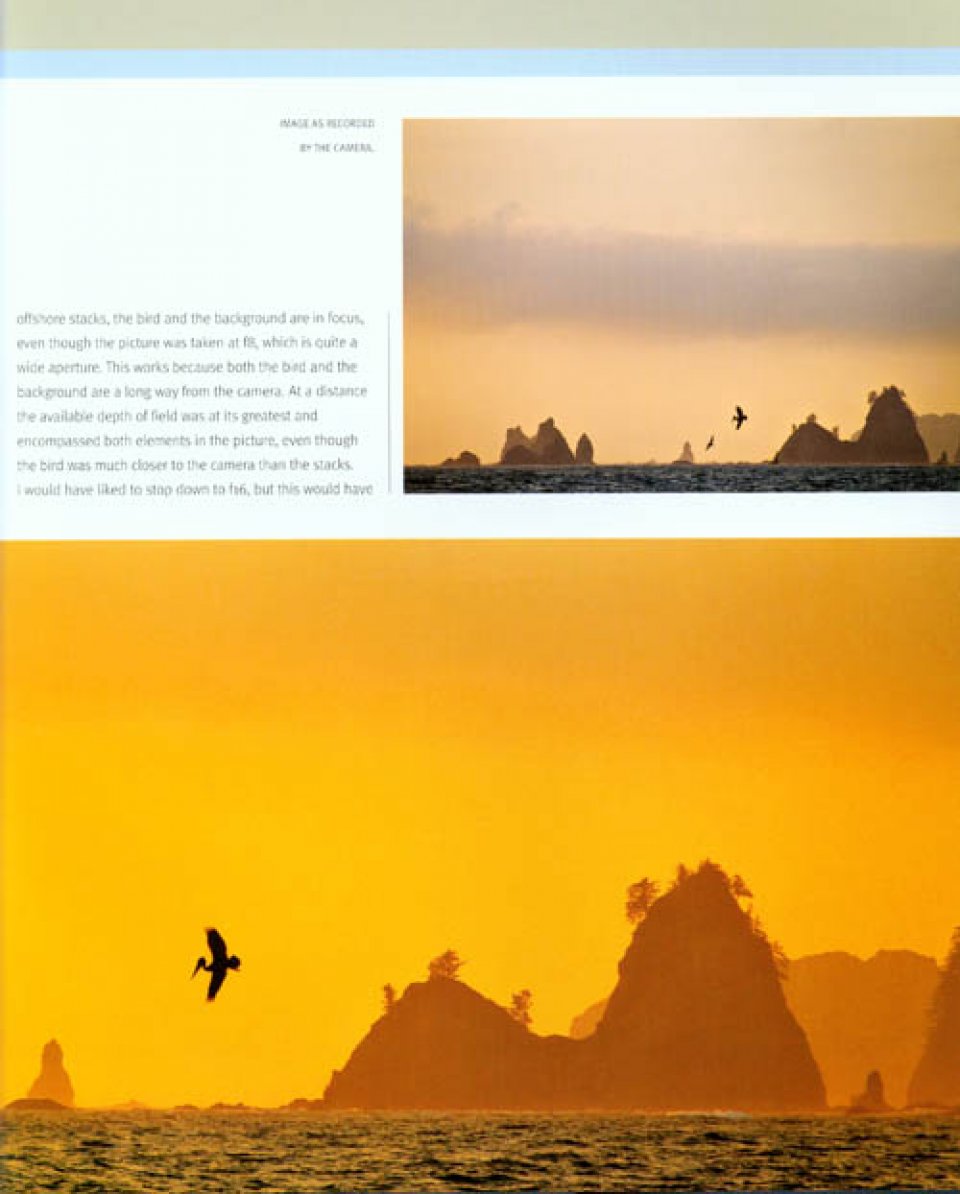 CREATIVE NATURE PHOTOGRAPHY 2