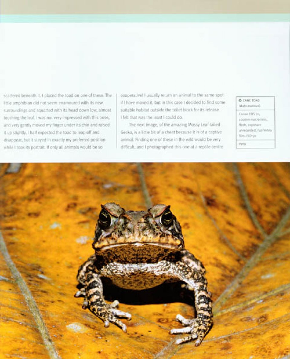 CREATIVE NATURE PHOTOGRAPHY 4