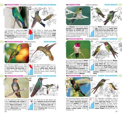 AVES DE ARGENTINA Y URUGUAY. SET GUÍA DE IDENTIFICACIÓN + DVD + CHECKLIST 4