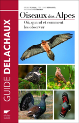 OISEAUX DES ALPES. OÚ, QUAND ET COMMENT LES OBSERVER 2