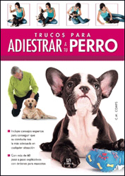 TRUCOS PARA ADIESTRAR A TU PERRO 1