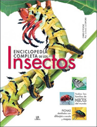 ENCICLOPEDIA COMPLETA DE LOS INSECTOS 1
