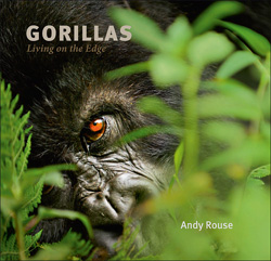 GORILLAS. LIVING ON THE EDGE 1