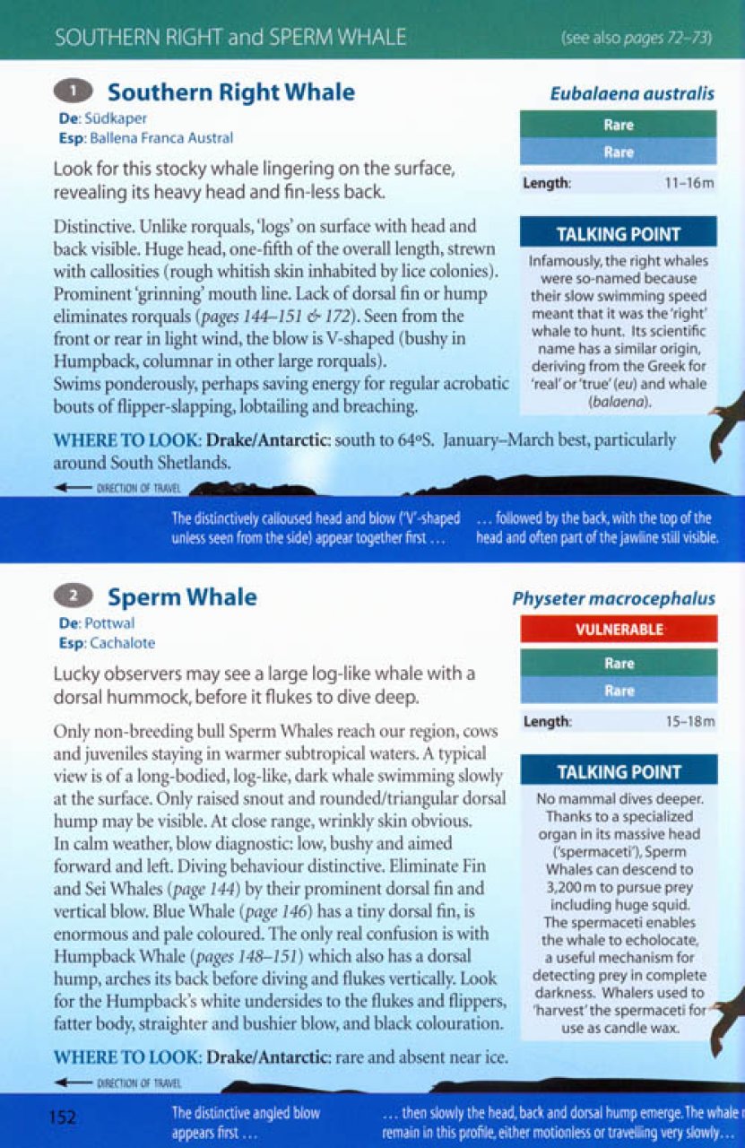 ANTARCTIC WILDLIFE. A VISITOR'S GUIDE TO THE WILDLIFE OF THE ANTARCTIC PENINSULA, DRAKE PASSAGE AND BEAGLE CHANNEL 2