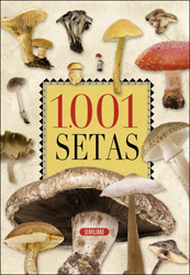 1001 SETAS 1