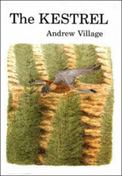 THE KESTREL 1
