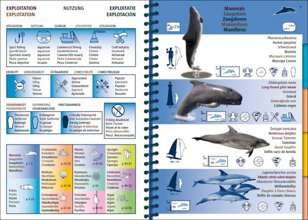 MARINE PICTOLIFE. EASTERN ATLANTIC 2