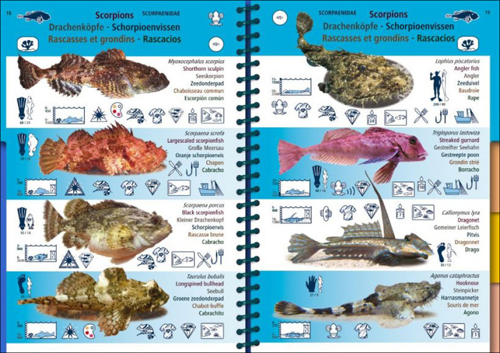 MARINE PICTOLIFE. EASTERN ATLANTIC 3