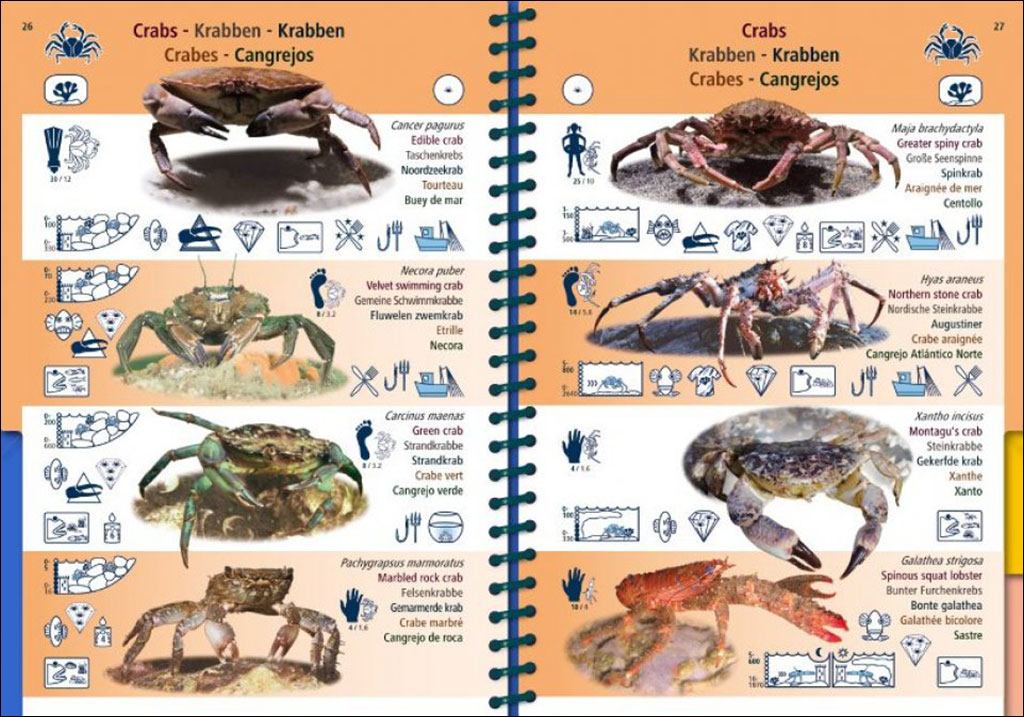 MARINE PICTOLIFE. EASTERN ATLANTIC 4